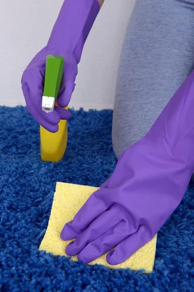 Stain Removal Services in Delaware County PA